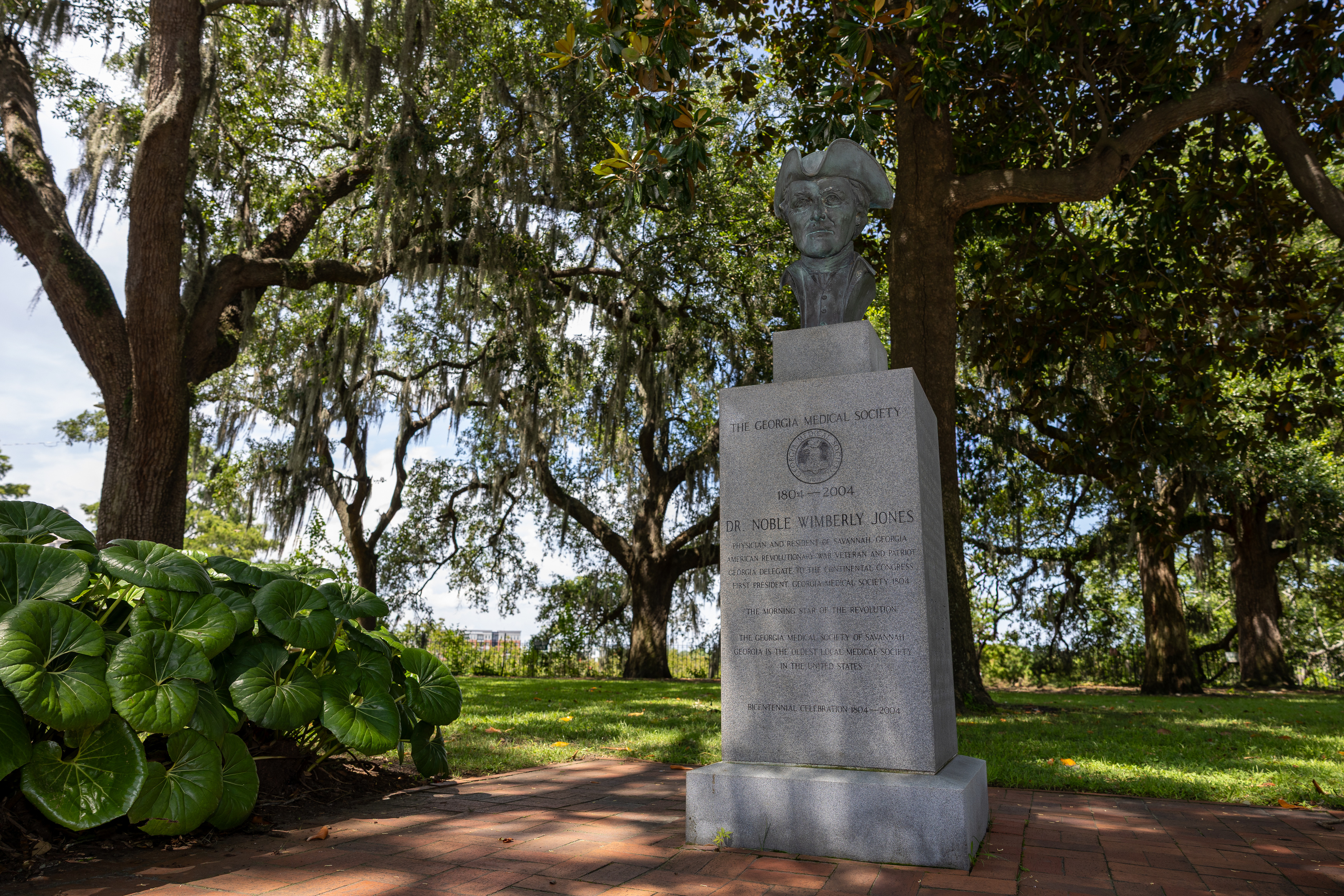 Explore Savannah by Trolley